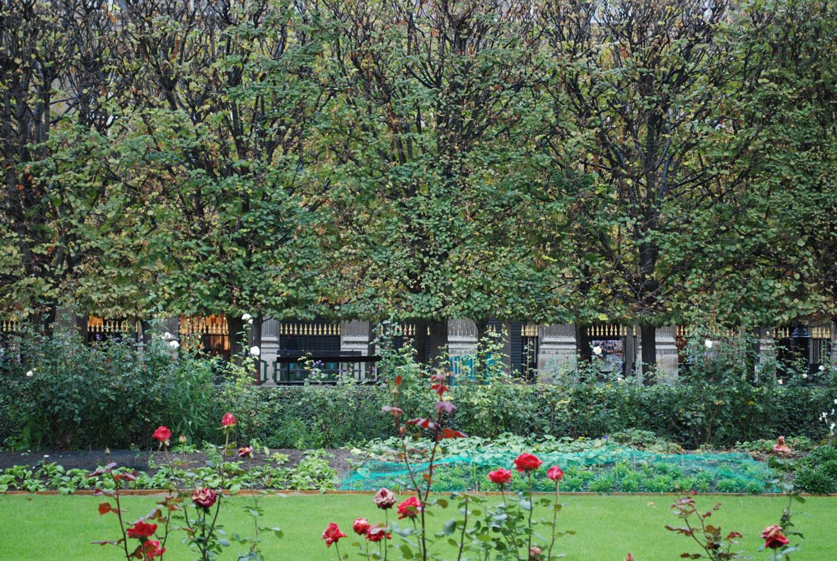 Palais Royal - 19