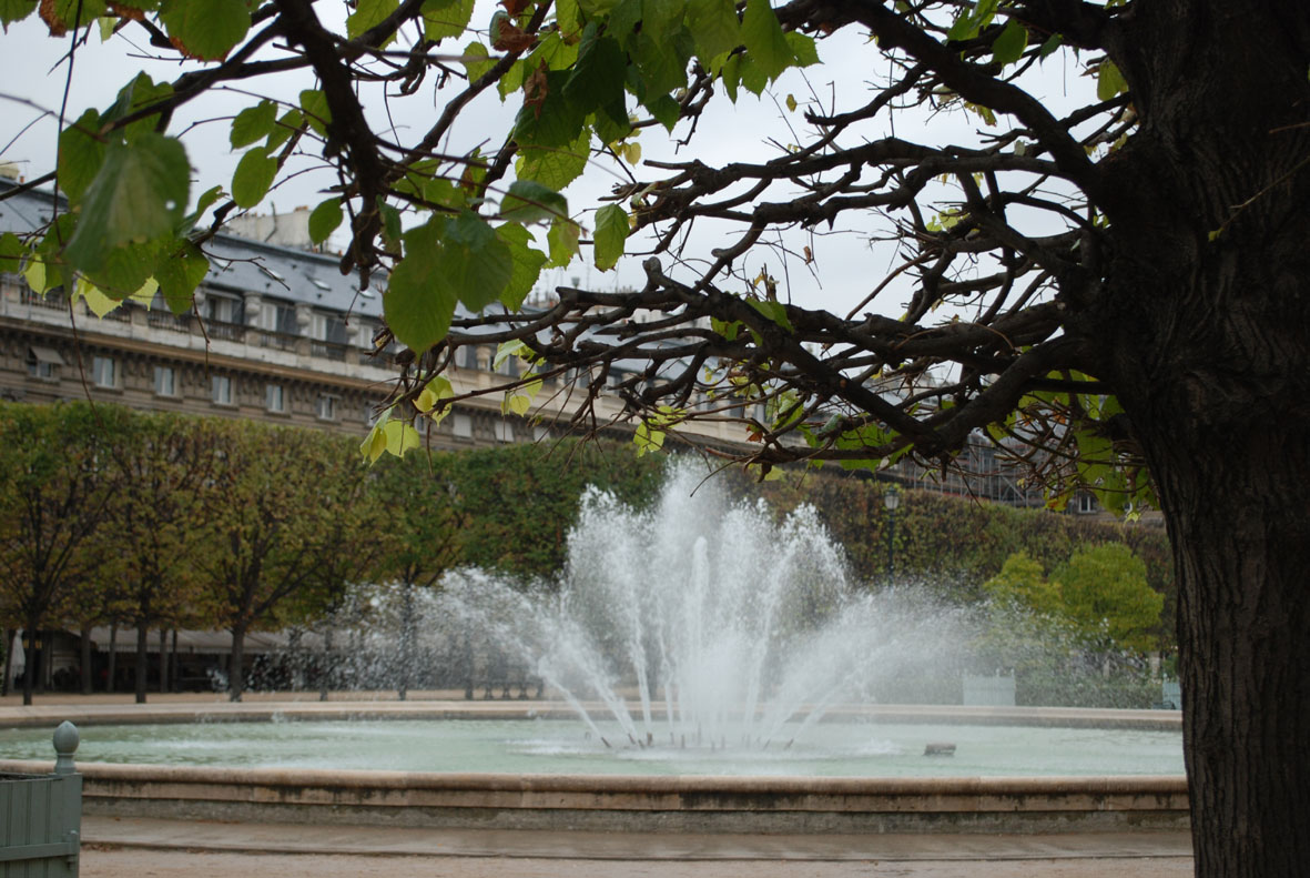 Palais Royal - 20